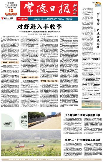 可靠秘訣大揭秘