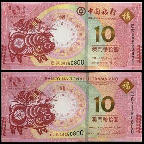 澳門天天彩期期精準十二生肖預(yù)測——揭秘彩票背后的秘密，澳門天天彩期期精準十二生肖預(yù)測，彩票背后的秘密大揭秘