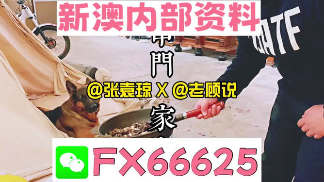 新澳門精準(zhǔn)資料大全，管家婆料解析與探索，澳門精準(zhǔn)資料大全，管家婆料解析與深度探索