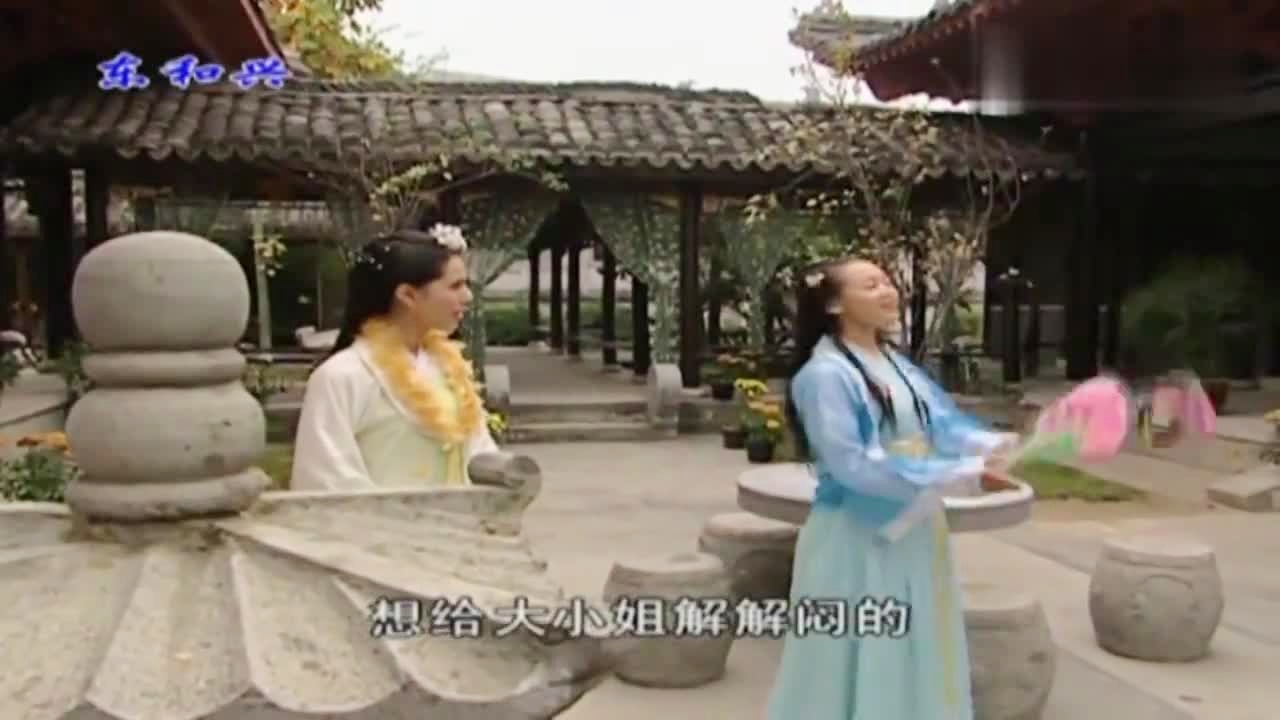 劉伯溫白小姐一肖期期準(zhǔn)，神秘預(yù)測(cè)背后的真相，劉伯溫白小姐生肖預(yù)測(cè)揭秘，神秘預(yù)測(cè)背后的真相
