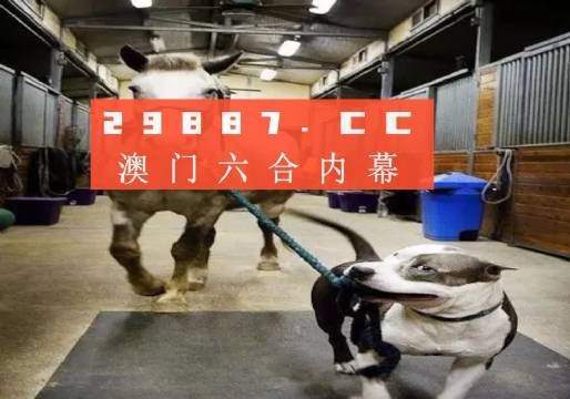澳門一肖一碼一必中一肖，同舟前進的奧秘與策略，澳門一肖一碼必中策略與前進奧秘，同舟共濟的揭秘與策略