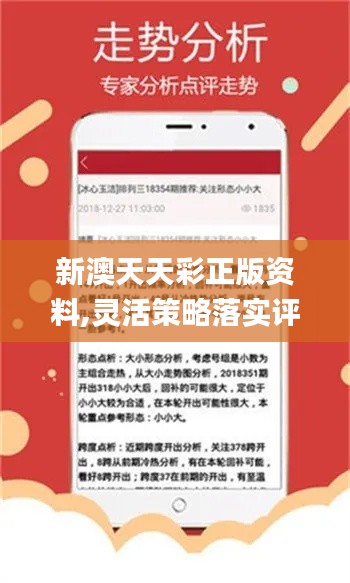 新澳天天開彩期期精準(zhǔn)，揭秘彩票預(yù)測背后的秘密，揭秘彩票預(yù)測真相，新澳天天開彩期期精準(zhǔn)之奧秘