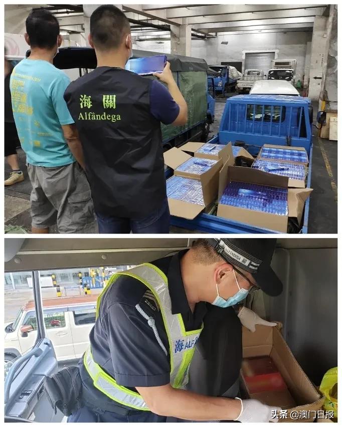 澳門今晚必開一肖080，揭秘生肖運(yùn)勢與預(yù)測之謎，澳門今晚必開一肖揭秘，生肖運(yùn)勢預(yù)測之謎開啟！