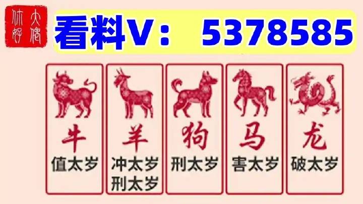澳門(mén)馬站最快開(kāi)獎(jiǎng)結(jié)果，探索與解析，澳門(mén)馬站最新開(kāi)獎(jiǎng)結(jié)果解析