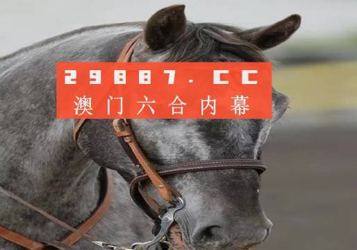 澳門一一碼一特一中準選今晚，探索真實有效的選擇與策略，澳門今晚一特一中準選碼，真實有效的選擇與策略探索