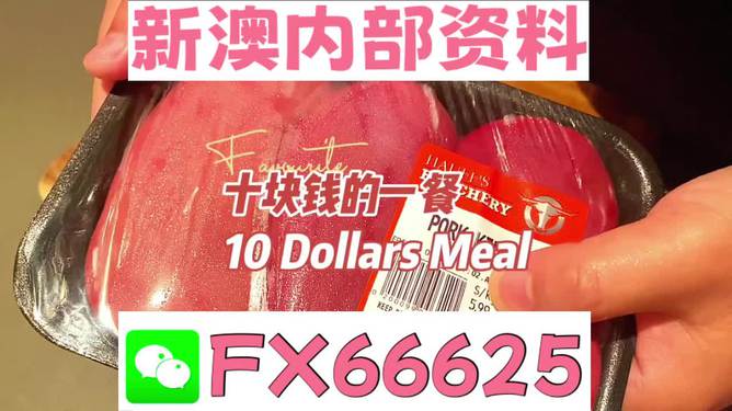 揭秘2025新澳精準資料免費大全——一站式獲取最新資源，揭秘2025新澳精準資料免費大全，最新資源一站式獲取