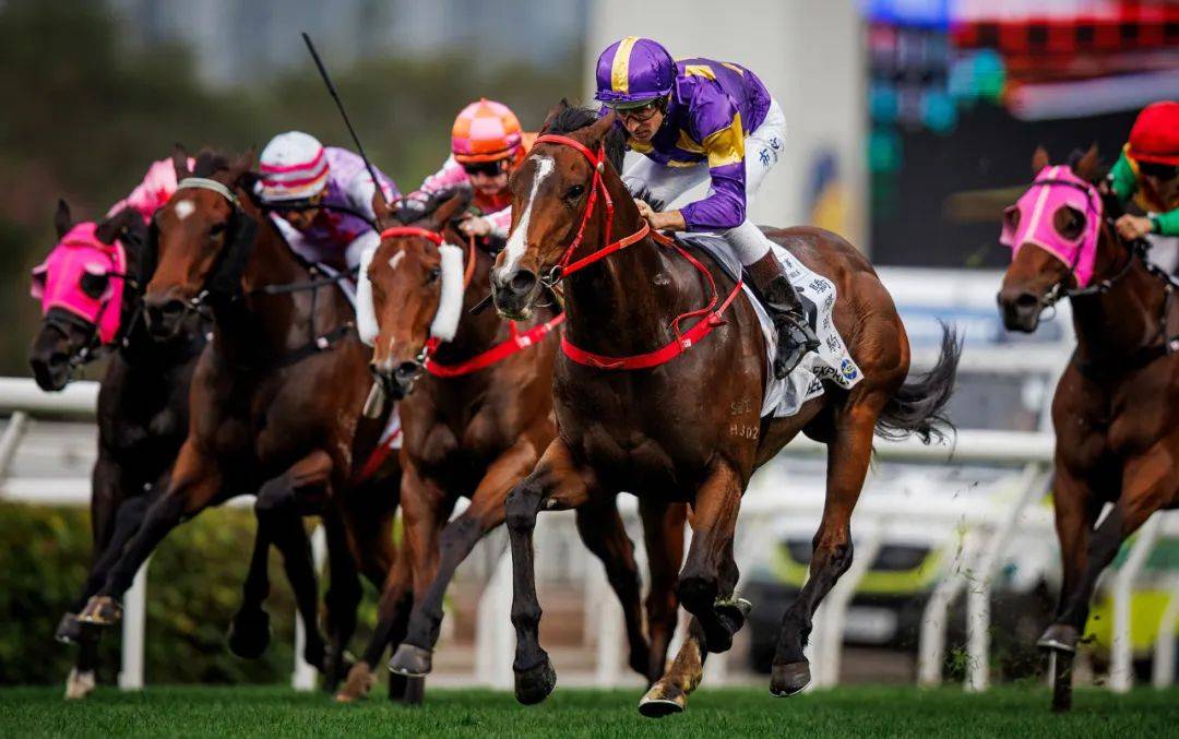 香港賽馬，探索賽馬運(yùn)動(dòng)的激情與榮耀之地——7777788888的獨(dú)特魅力，香港賽馬，激情與榮耀的獨(dú)特魅力探索——777778賽馬運(yùn)動(dòng)之地