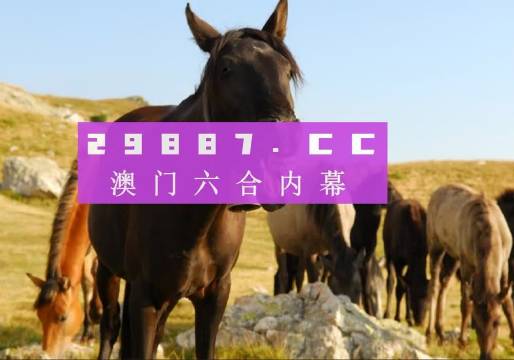 澳門管家婆一肖一碼一中一，揭秘與解析，澳門管家婆一肖一碼揭秘與解析