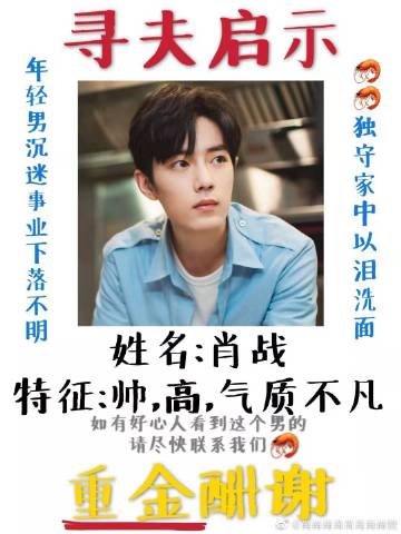 一肖一碼一一肖一子善，探尋命運密碼與智慧之光的完美結(jié)合，命運密碼與智慧之光，一肖一碼一一肖一子善的探尋