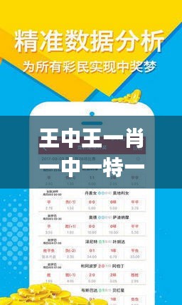 王中王欲錢詩猜一首肖，探尋神秘文化背后的故事與奧秘，王中王欲錢詩探秘，生肖文化背后的故事與奧秘