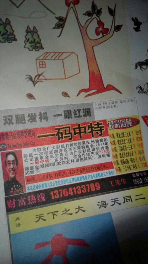 欲錢詩猜一肖——探尋王中王的奧秘，探尋王中王的奧秘，欲錢詩猜一肖