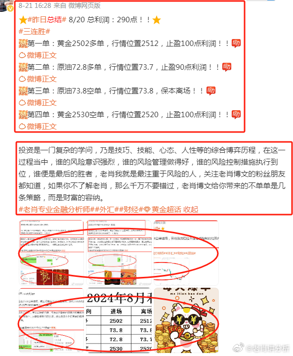 香港王中王一肖最準(zhǔn)——揭秘精準(zhǔn)預(yù)測的秘密，揭秘香港王中王一肖精準(zhǔn)預(yù)測的秘密之道