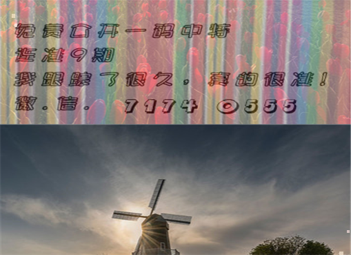 王中王四肖三期必出一期，揭秘彩票背后的秘密策略與技巧，揭秘彩票策略與技巧，王中王四肖三期必出一期之道