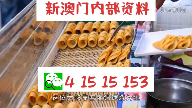 探索澳門彩票文化，新澳門天天開好彩的奧秘與未來展望（關鍵詞，新澳門天天開好彩），澳門彩票文化深度解析，新澳門天天開好彩的奧秘與未來展望