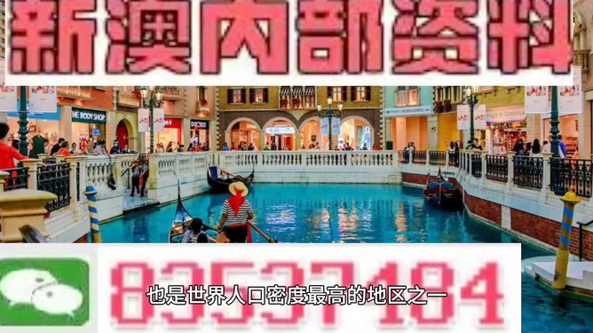 澳門王中王六碼新澳門，探索與解析，澳門王中王六碼新澳門，深度探索與解析