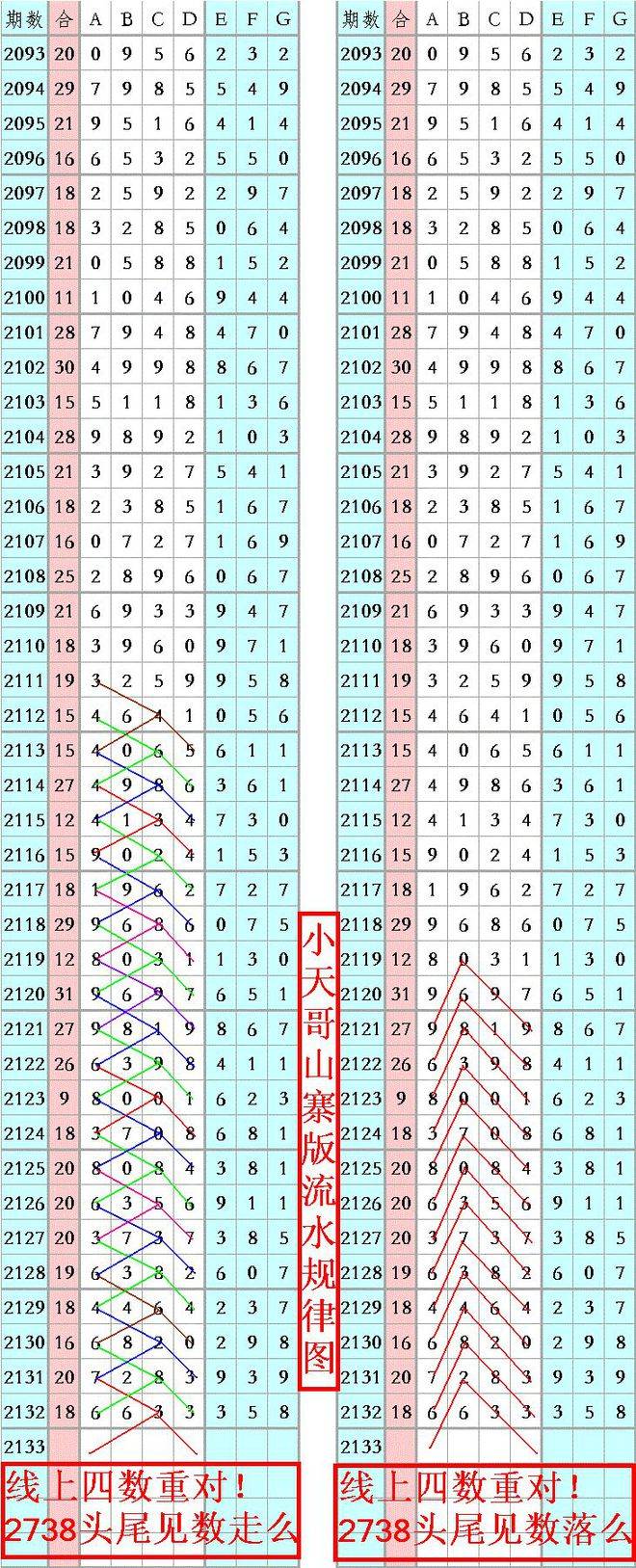 王中王資料一肖正特馬，深度解析與探索，王中王資料一肖正特馬深度解析與探索揭秘