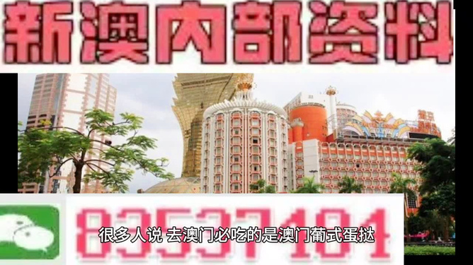 新澳門三中三碼精準預測，揭秘百分百準確率的秘密，揭秘新澳門三中三碼精準預測，百分百準確率背后的秘密