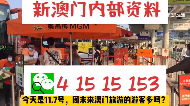 新澳今晚上9點(diǎn)30分的魅力瞬間與精彩展望，新澳之夜，9點(diǎn)30分的魅力瞬間與精彩展望