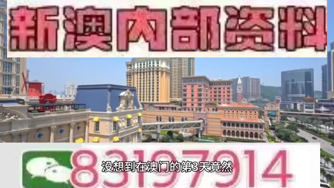 新澳門今晚必開一肖一特，探索生肖與特碼的魅力，澳門生肖特碼探索，今晚必開一肖一特之魅力