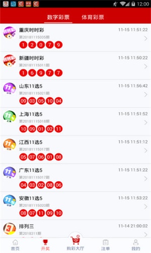 一碼一肖，揭秘背后的秘密與探索其獨(dú)特魅力，揭秘一碼一肖背后的秘密與獨(dú)特魅力探索