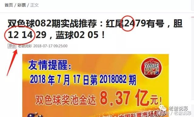 王中王082期指一生肖——探尋生肖魅力，洞悉運勢奧秘，探尋生肖魅力，揭秘運勢奧秘——王中王生肖運勢解析 082期