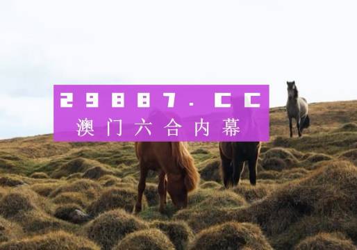 澳門六開獎(jiǎng)結(jié)果2023開獎(jiǎng)記錄查詢網(wǎng)站——全面解析與最新資訊，澳門六開獎(jiǎng)結(jié)果最新解析與資訊，全面查詢2023年開獎(jiǎng)記錄