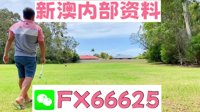 王中王一碼二肖，揭秘背后的秘密，揭秘王中王一碼二肖背后的秘密
