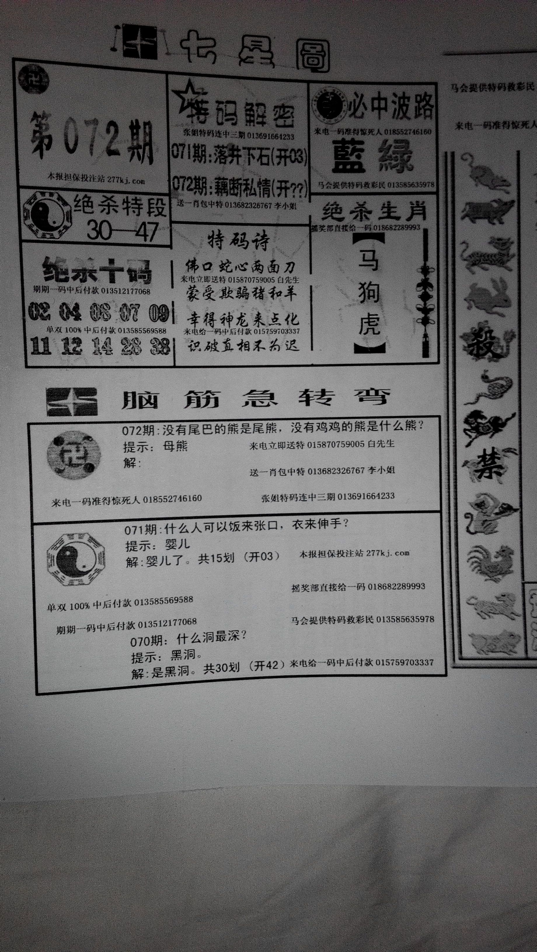 王中王95期指一生肖——探尋生肖文化中的獨特魅力，王中王95期生肖探尋，揭秘生肖文化的獨特魅力