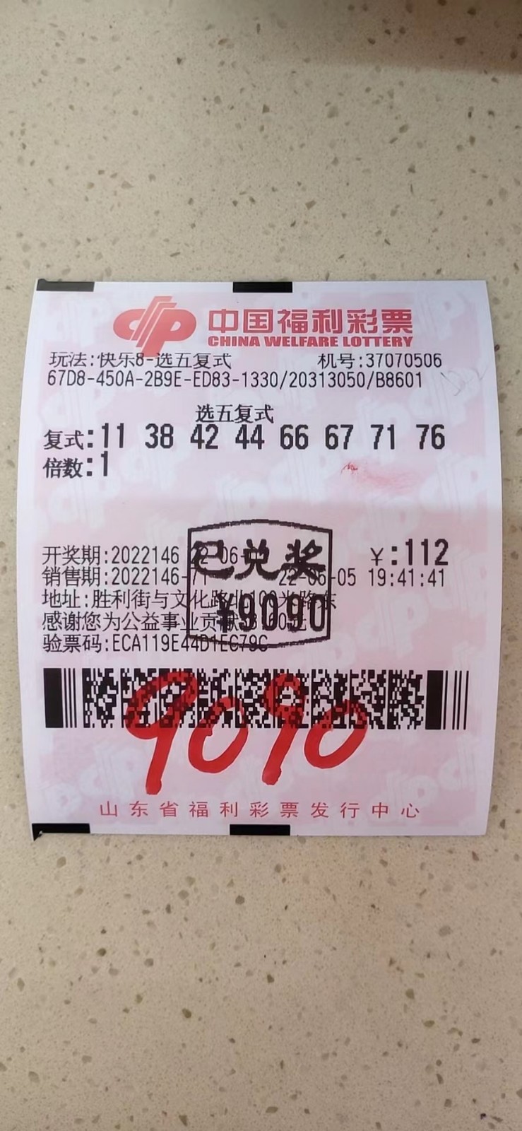 揭秘002期王中王平特一肖，背后的故事與奧秘，揭秘王中王平特一肖背后的故事與奧秘（第002期）
