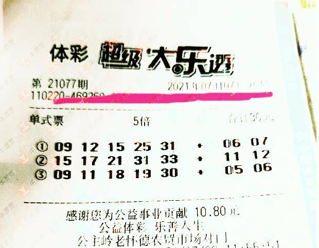 王中王077期指一生肖——揭秘背后的奧秘與生肖運勢分析，揭秘生肖奧秘與運勢分析，王中王生肖預測077期揭曉！