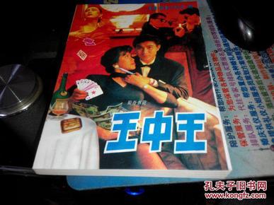 王中王資料一肖中特小說(shuō)，深度解析與探索，王中王資料一肖中特小說(shuō)的深度解析與探索之旅