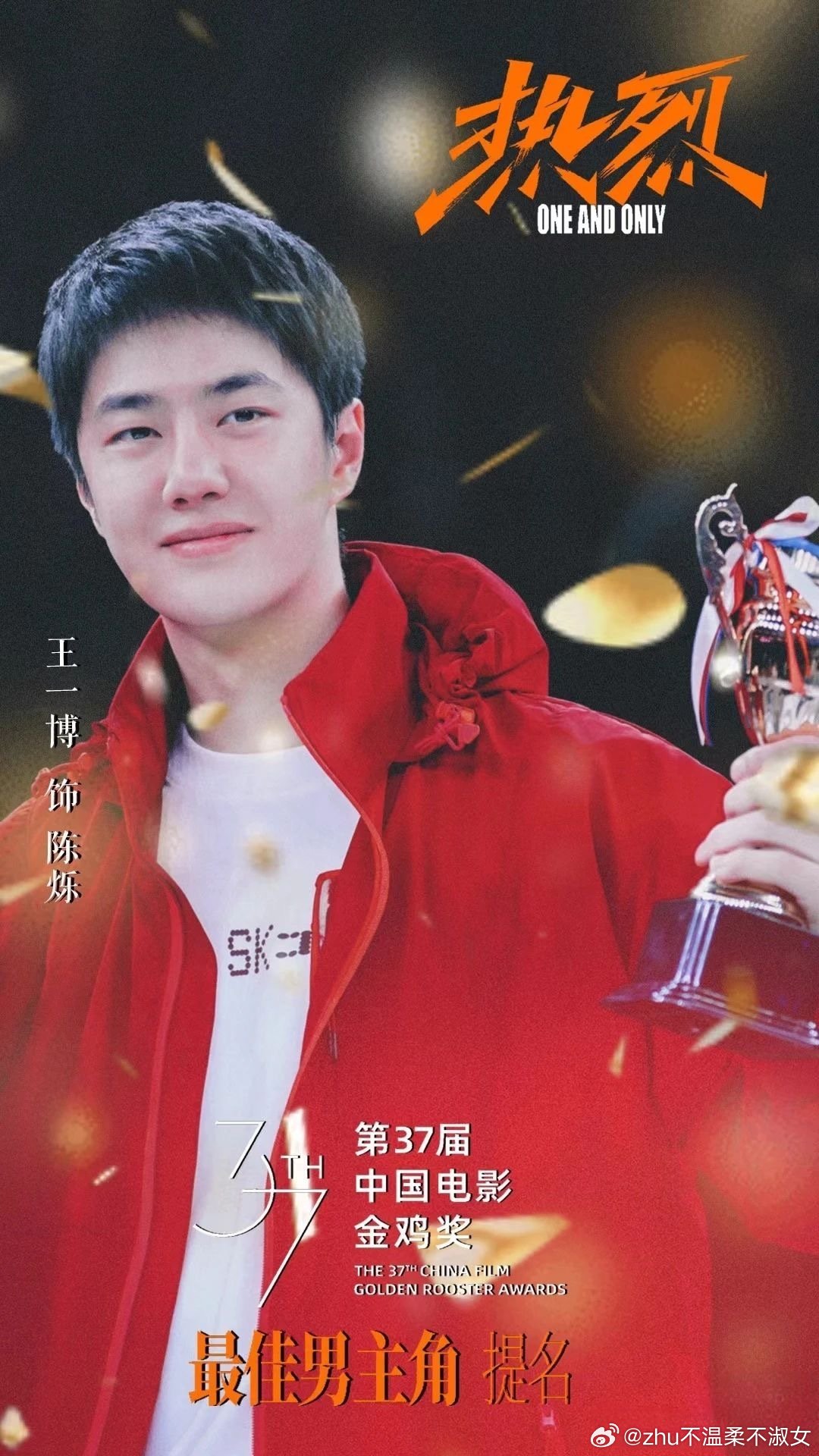 王中王一肖一特一中一中，探尋背后的故事與奧秘，探尋王中王一肖背后的故事與奧秘
