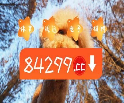 澳門天天開彩好正版掛牌第168期，探索彩票的魅力與策略，澳門彩票探索，魅力與策略揭秘 第168期正版掛牌開彩體驗