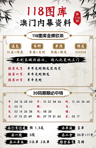 新澳新澳門(mén)正版資料，探索與解析，新澳新澳門(mén)正版資料深度解析與探索