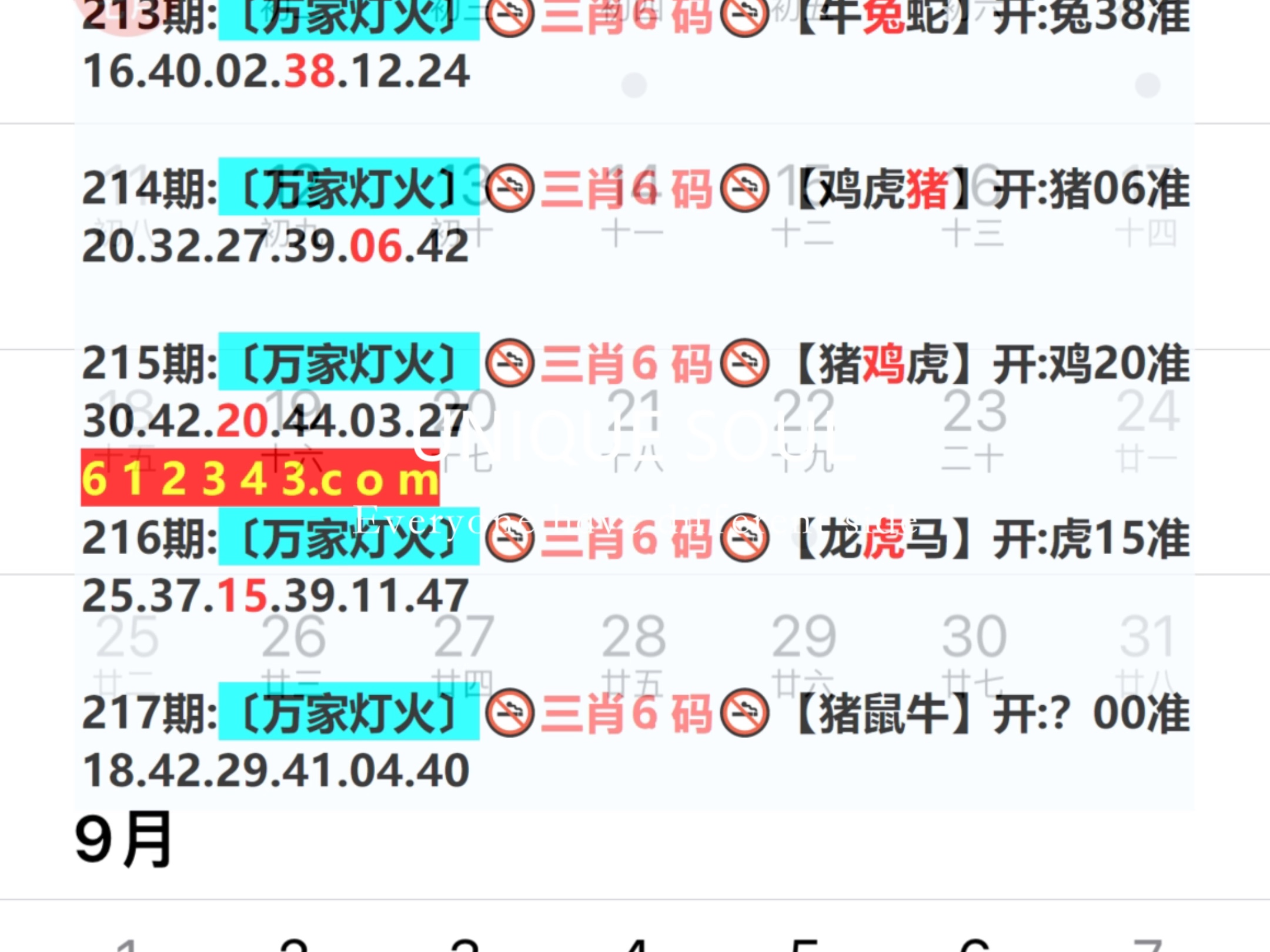 新奧今日六肖中特，揭秘背后的秘密與趨勢(shì)分析，揭秘新奧今日六肖中特背后的秘密與趨勢(shì)分析