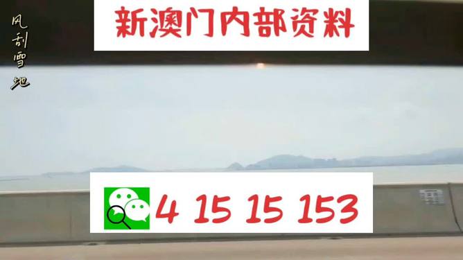 新澳2025最新資料生肖，深度解析與預測展望，新澳2025最新生肖資料深度解析與未來預測展望