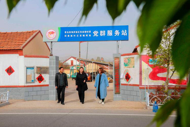 2025新澳天天開彩大全——衣冠群獸探秘，2025新澳天天開彩大全，衣冠群獸探秘之旅