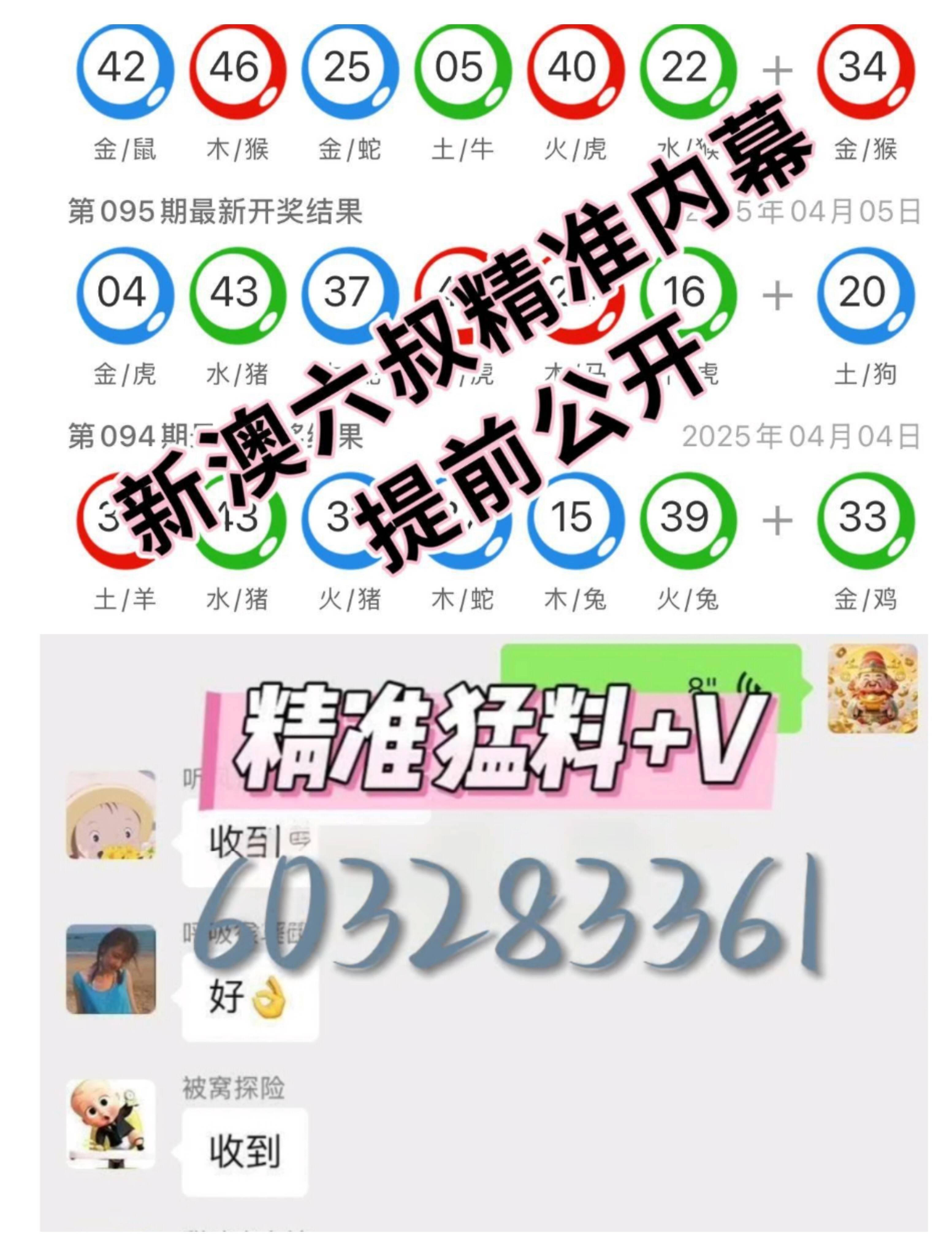 新澳門2025搖號記錄，探索與解析，新澳門2025搖號記錄深度解析
