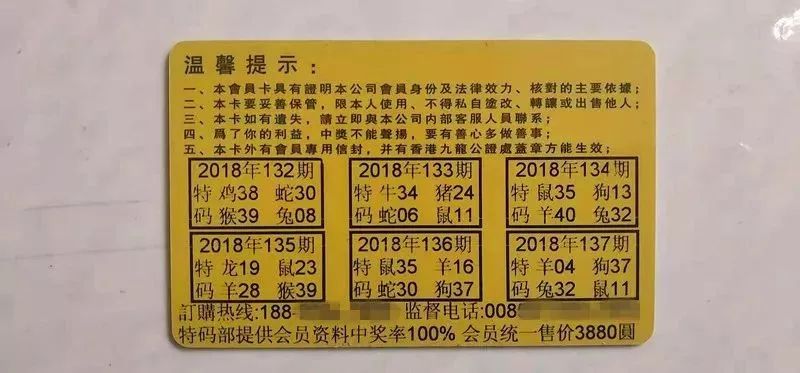 香港中特期期準(zhǔn)資料，深度解析與探索，香港中特期期準(zhǔn)資料深度解析與探索報(bào)告
