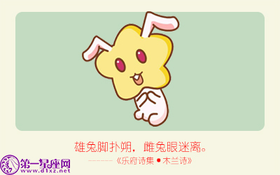 揭秘精準(zhǔn)生肖，探尋神奇的數(shù)字組合777778與888888背后的生肖秘密，揭秘生肖秘密，數(shù)字組合777778與888888背后的生肖傳奇