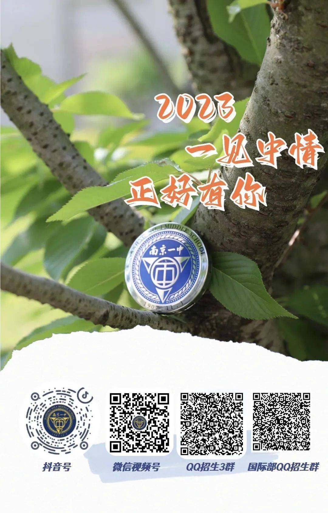 一碼一肖一特一中，揭秘背后的秘密與奧秘，揭秘一碼一肖一特一中背后的秘密奧秘