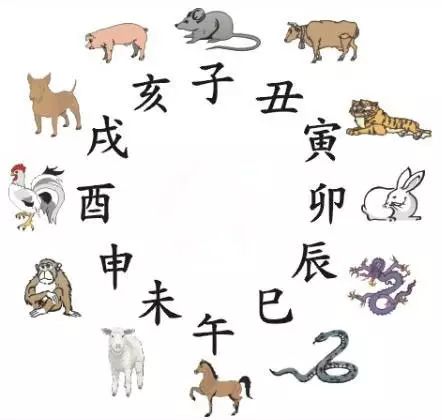 澳門天天彩期期精準十二生肖預(yù)測——揭秘彩票秘密，澳門天天彩期期精準十二生肖預(yù)測，揭秘彩票秘密之獨家解析