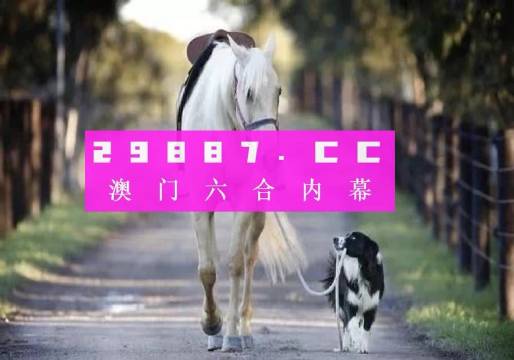 澳門(mén)彩的奧秘世界與SEO優(yōu)化策略探討 —— www.04812com的獨(dú)家解析，澳門(mén)彩奧秘與SEO優(yōu)化策略獨(dú)家解析，www.04812com深度探討
