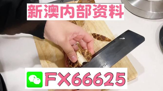 澳門(mén)九點(diǎn)半9點(diǎn)半網(wǎng)站——探索其魅力與優(yōu)勢(shì)，澳門(mén)九點(diǎn)半網(wǎng)站，魅力與優(yōu)勢(shì)探索