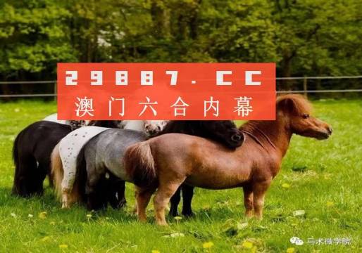 一馬中特內(nèi)部精準(zhǔn)資料免費(fèi)大公開，揭秘行業(yè)秘密，助力個(gè)人成長(zhǎng)，揭秘行業(yè)秘密，一馬中特內(nèi)部精準(zhǔn)資料大公開，助力個(gè)人成長(zhǎng)免費(fèi)獲取