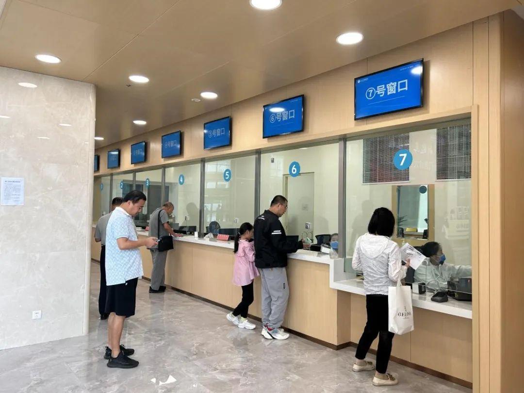 新門(mén)內(nèi)部資料免費(fèi)下載——探索與揭秘，新門(mén)內(nèi)部資料揭秘，免費(fèi)下載與探索之旅