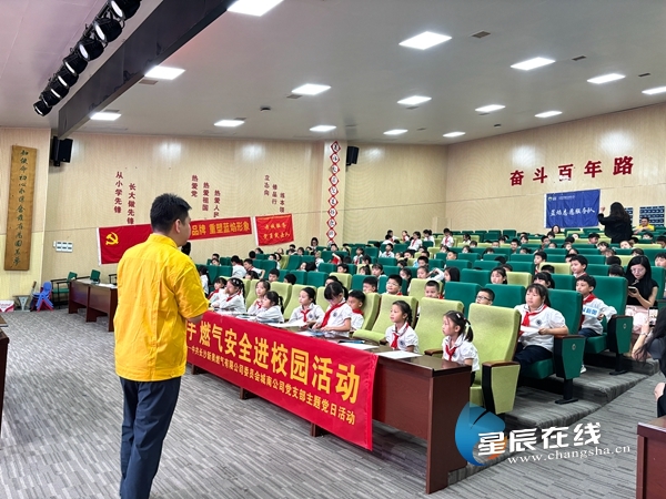 新奧49正版資料，探索與解析，新奧49正版資料深度探索與解析