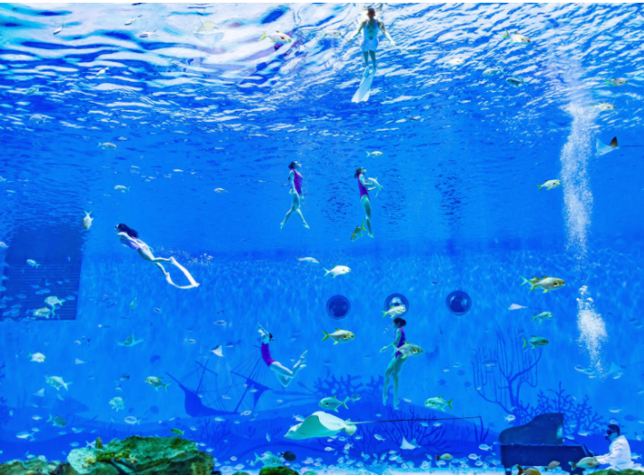 海昌海洋公園門票價(jià)格詳解，海昌海洋公園門票價(jià)格全面解析