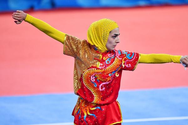 揭秘504王中王一肖，背后的故事與傳奇，揭秘王中王一肖傳奇，背后的故事與神秘面紗