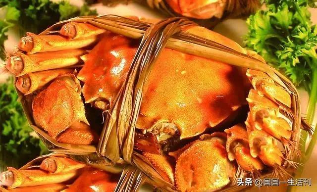 螃蟹放一宿死啦第二天能否食用？全面解析與注意事項，螃蟹死亡后的食用問題解析，能否食用隔夜死蟹及注意事項